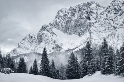 绿山附近有叶子的树木覆盖着雪在白天

